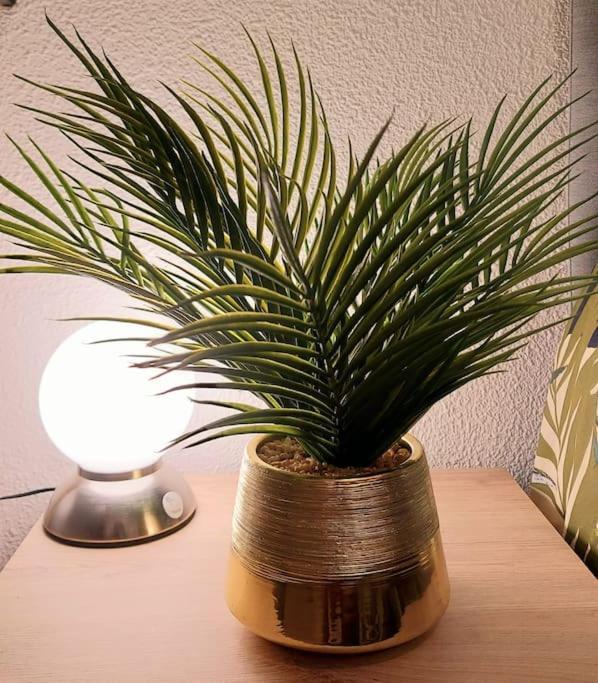 Zenith - Cartoucherie - Purpan Apartment Toulouse Bagian luar foto