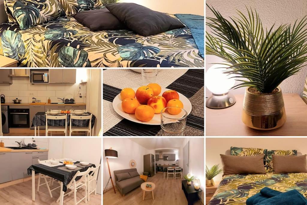 Zenith - Cartoucherie - Purpan Apartment Toulouse Bagian luar foto